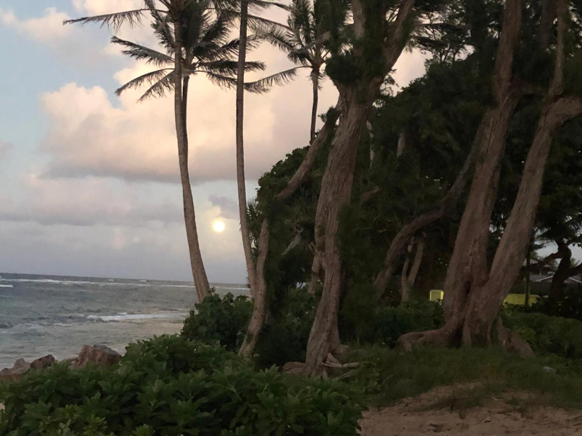 Willa Tropical Treasure On A White Sandy Beach Laie Zewnętrze zdjęcie